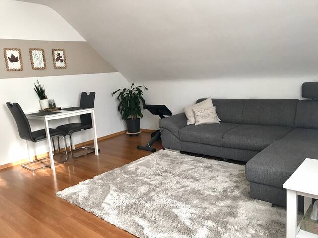 Airbnb Reutlingen Holiday Rentals Places To Stay Baden