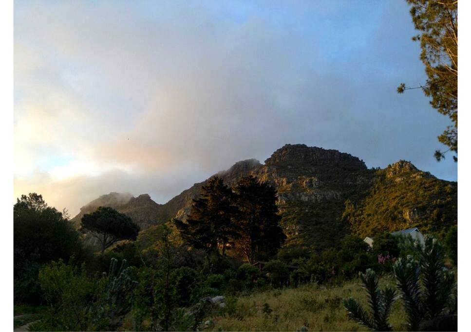 Home on mountainside