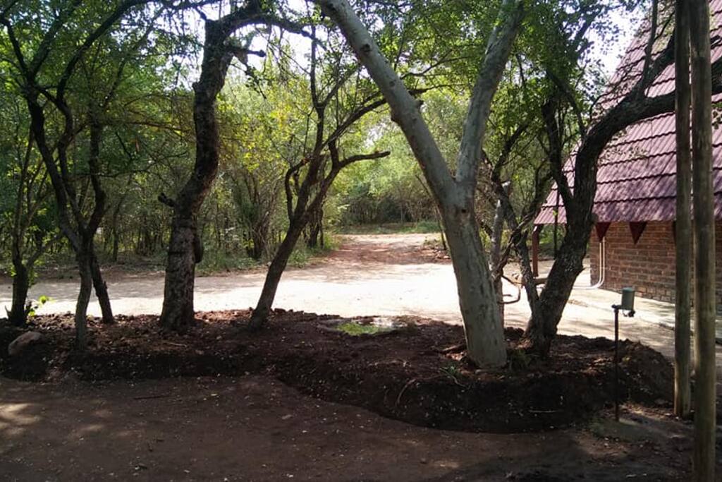Common garden area