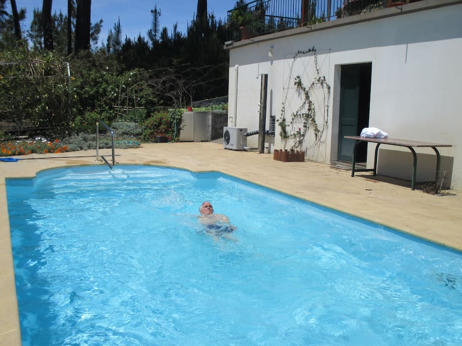 A decent size pool - you can use loungers by the pool.
