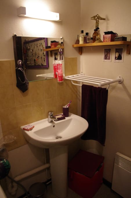 salle de bain avec douche et machine à laver, wc séparés.