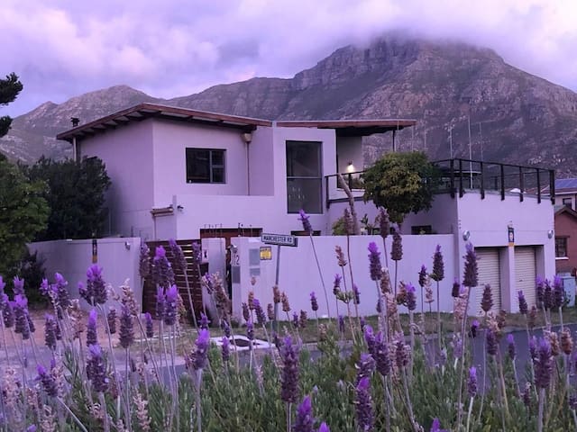 Smart stylish Beach House