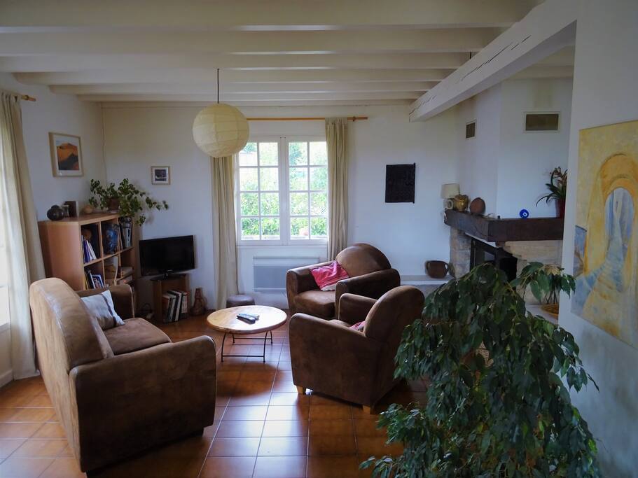 La pièce à vivre (coté salon)
