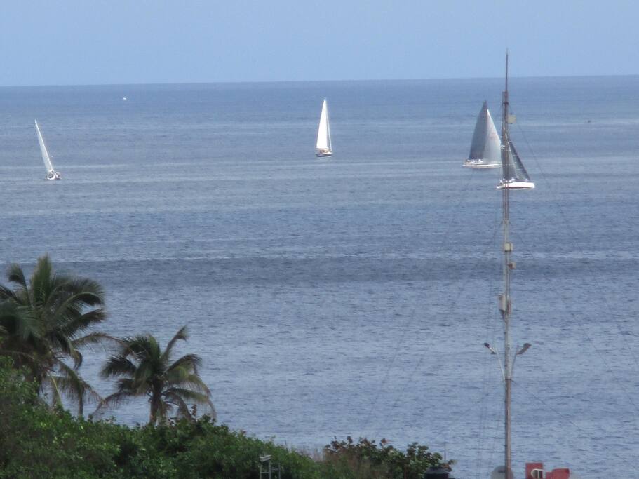 View from the terrace