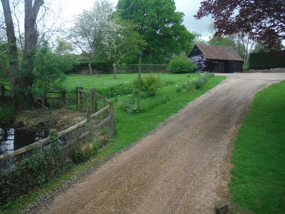 Front garden and duck pond