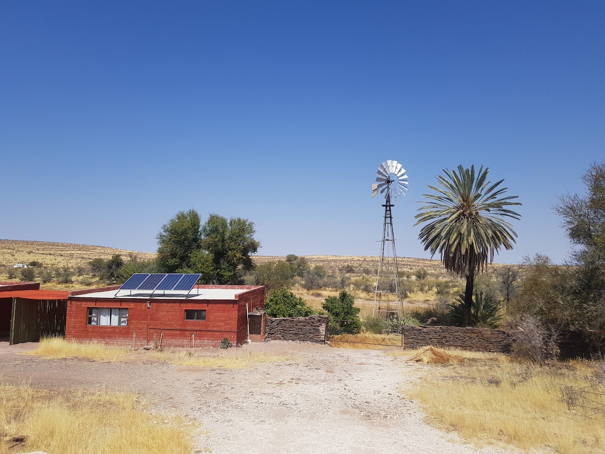 A rustic chalet is featured with solar panels on the roof, complemented by a tall windmill nearby. A green palm tree adds a touch of nature, with a backdrop of rolling hills under a clear blue sky. The surrounding area is characterized by golden grasses.
