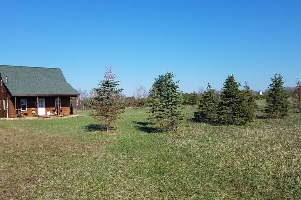 Cute and cozy cabin Cabins for Rent in Evart, Michigan, United States