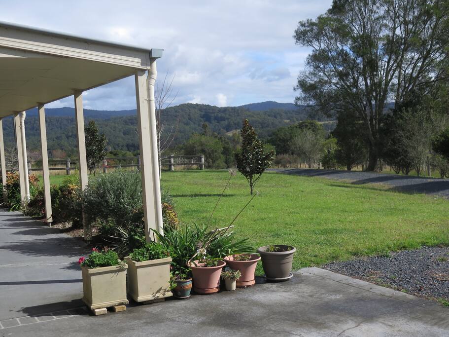 view from patio area