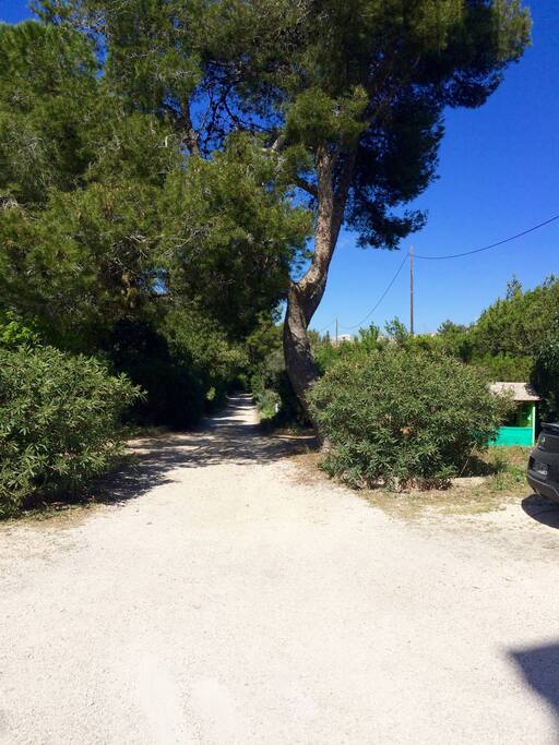 chemin menant à l'immeuble