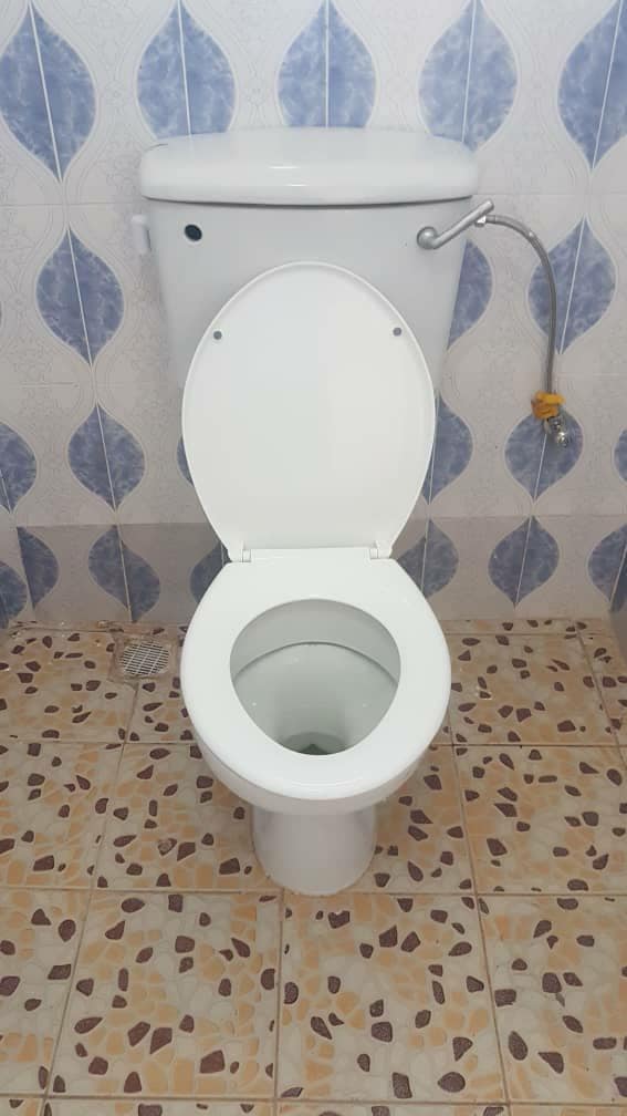 A clean white toilet is positioned against a patterned wall featuring blue leaf designs. Decorative floor tiles with mixed colors complement the setting. A water tank is located above the toilet, and a metal connection is visible, suggesting water supply.