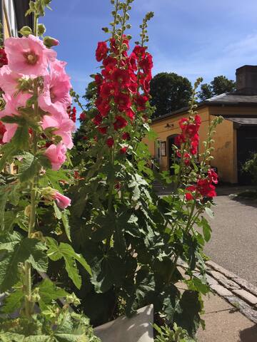 Ikke længere ledig til udlejning gallery image 4