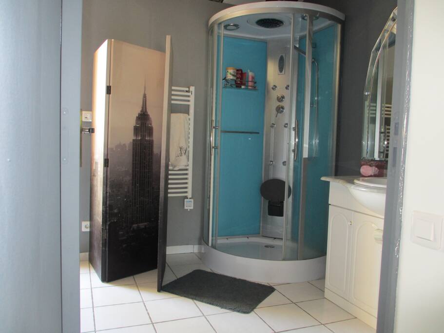 salle de bain avec douche
