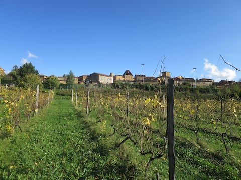 Full accommodation in the Beaujolaise region, near Lyon