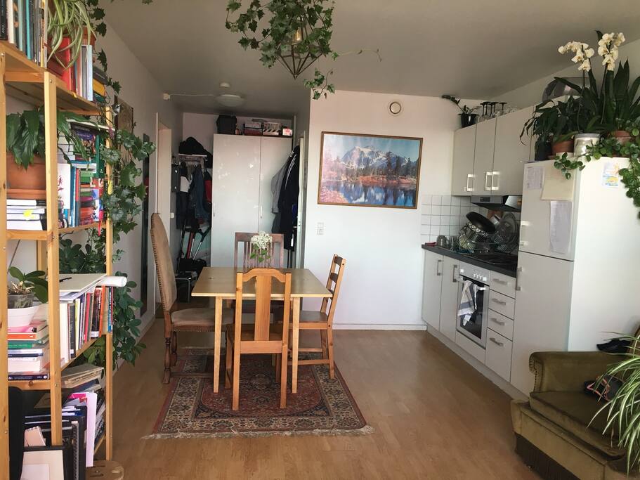 Bild från andra änden av lägenheten