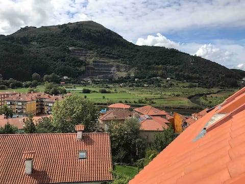 Beautiful penthouse with private parking. River views