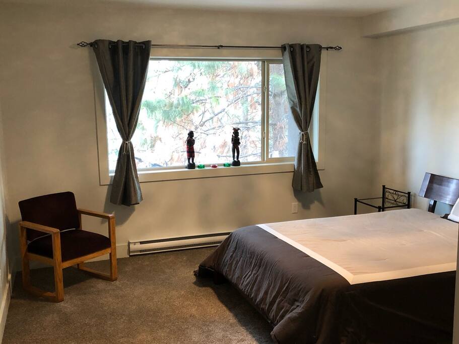 Master bedroom with walk-in closet