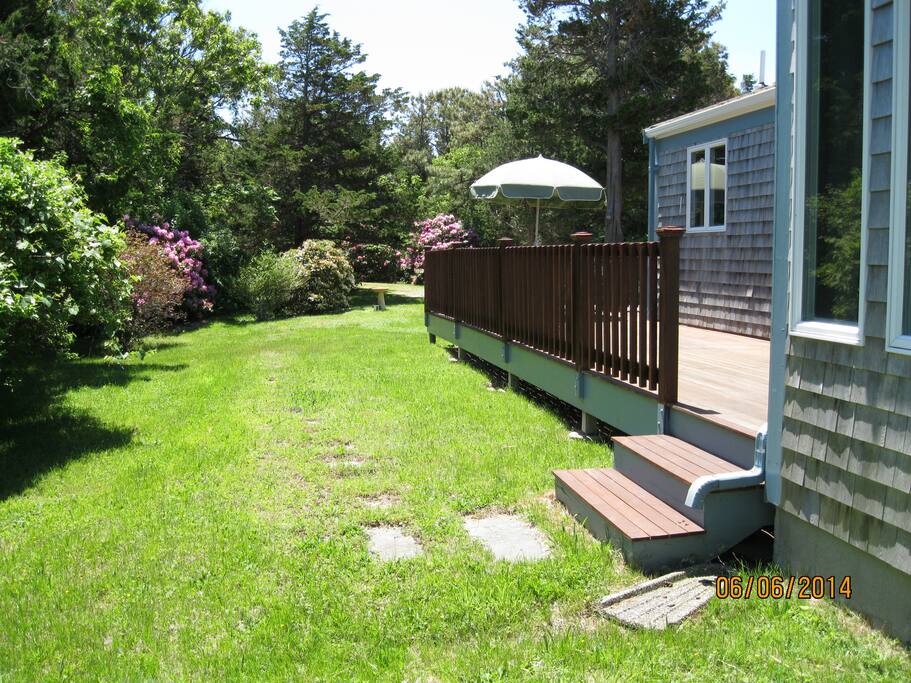 Front deck and rhodies in bloom