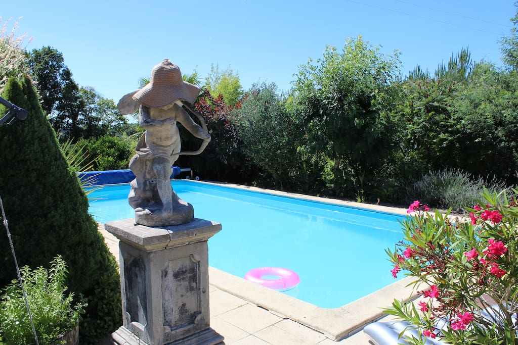 Ons zwembad (5m x 10m)