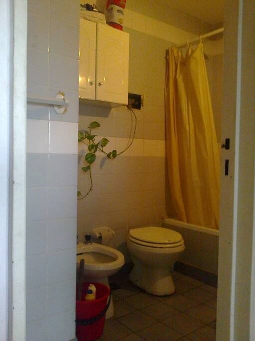 Con plantas ! / avec des plantes!/ with plants!