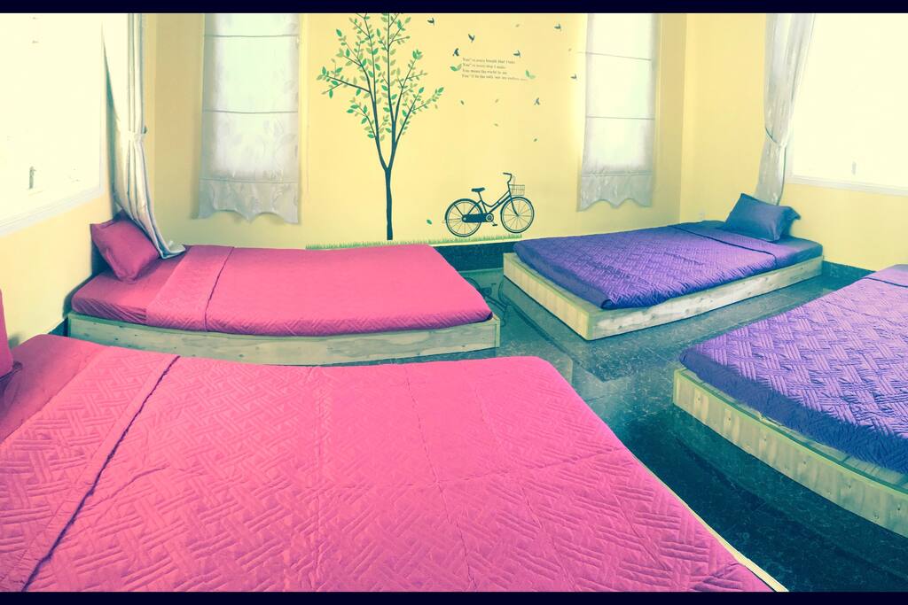4 small beds Room