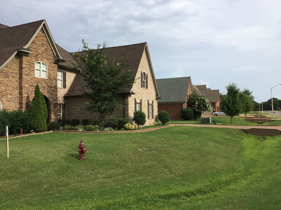 Quite, manicured neighborhood.