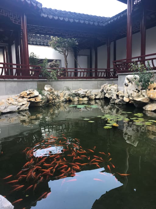 庭院一角