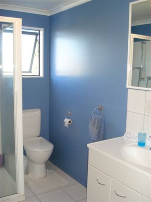 Second shower room upstairs