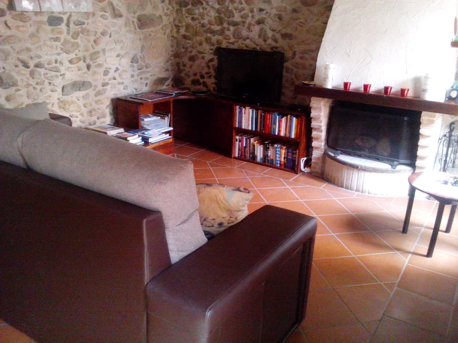 Espacio común: sala de estar con chimenea