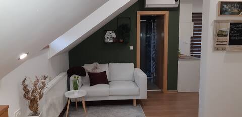 Successful Airbnb property: Woodnotes Studio for Two with balcony in Ličko Senjska županija
