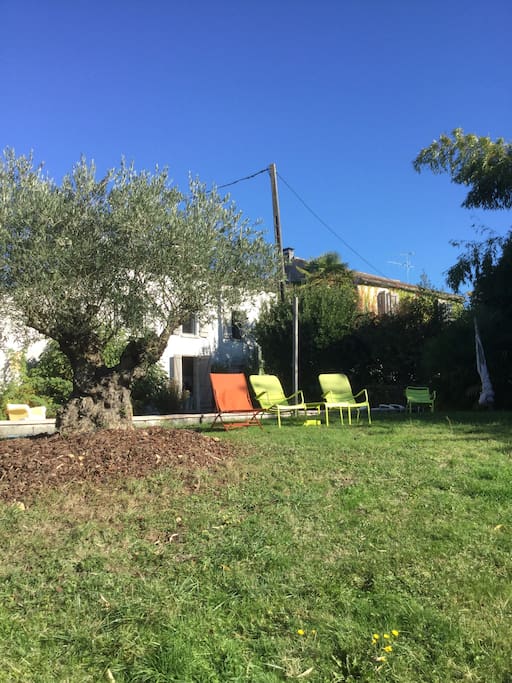 L'olivier au bord de la piscine avec vue sur la vallée