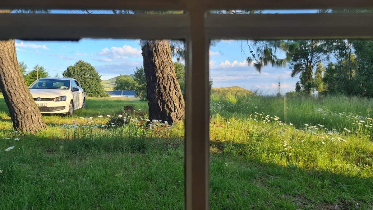 A view through a window features a grassy area with wildflowers and a white car parked nearby. Trees frame the scene, while rolling hills and a distant body of water are visible in the background under a clear sky.