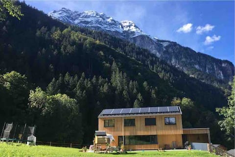 Relaxation at the edge of the forest