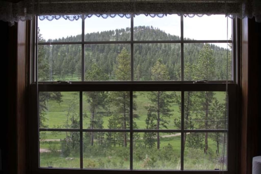 Ponderosa Dining Room View