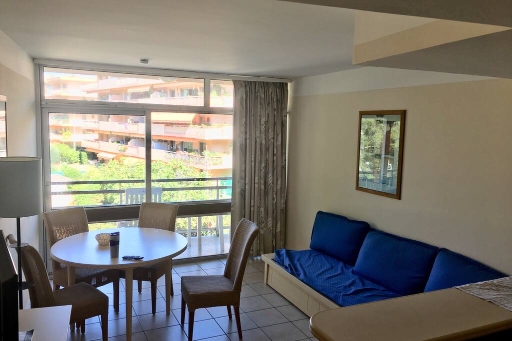 Nice living room with confortable couch and dining table