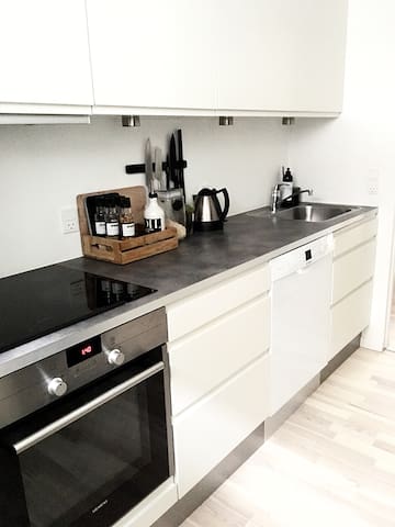Modern basement apartment close to everything