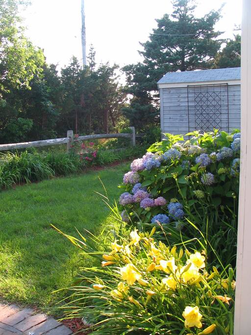 Front Yard