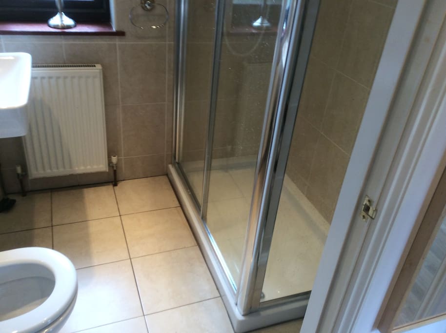 En suite double shower, toilet & handbadin