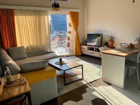 Successful Airbnb property: One bedroom apartment with outstanding view in Kotor