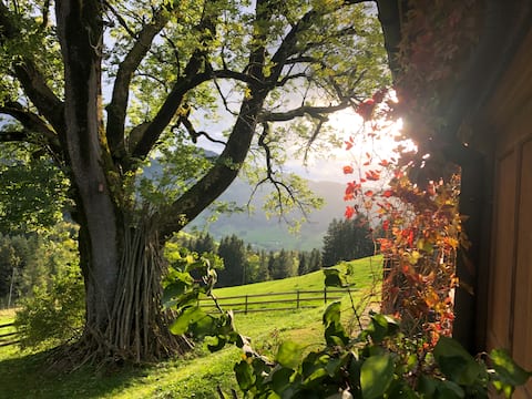 Ferienhaus Osteregg "Hüsli