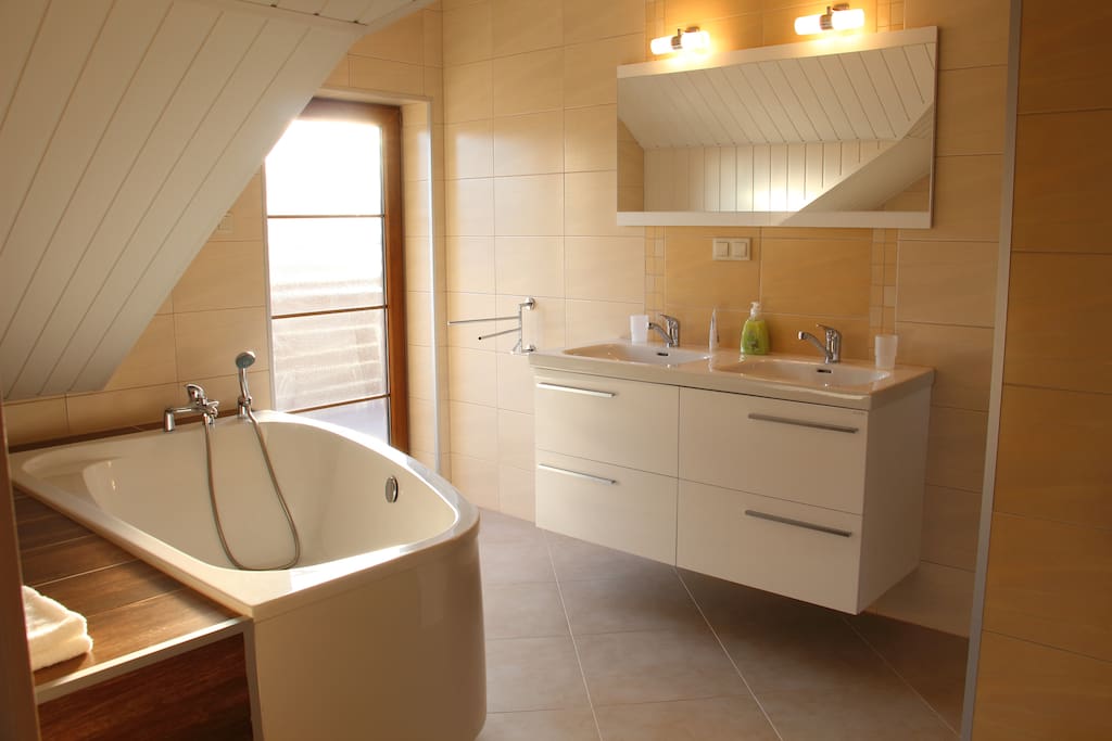 Badkamer + douche + toilet