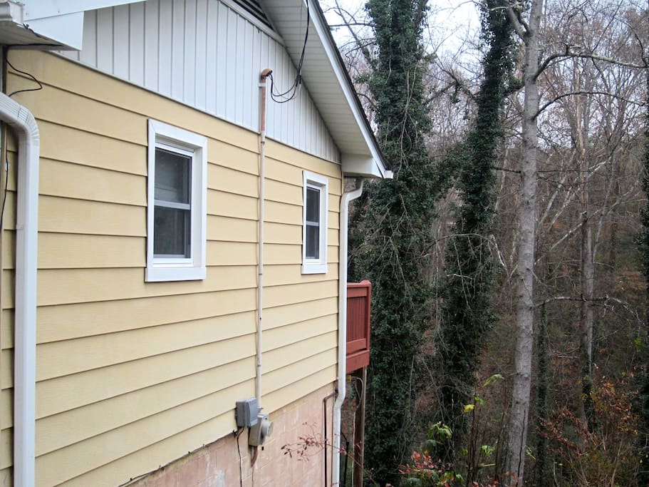 Quiet neighborhood with a deck overlooking a forest. Walk up the street to cafes, music, fun!