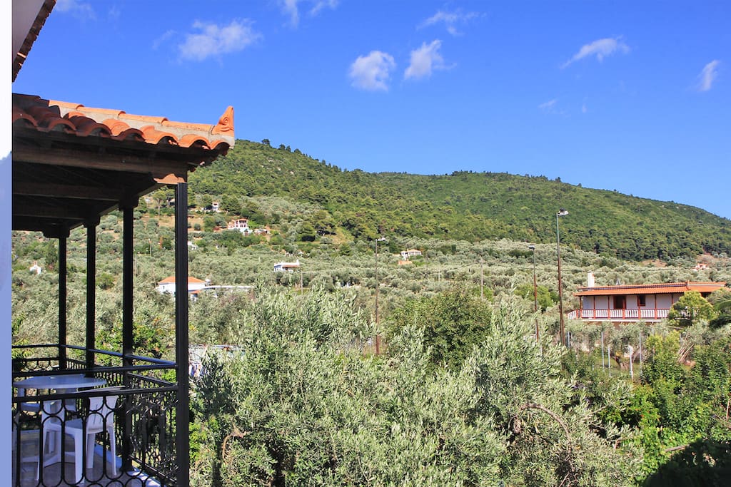 View to Stafylos valley from covered, private balcony.