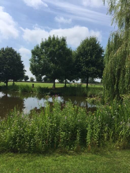 .... and look at our little lake