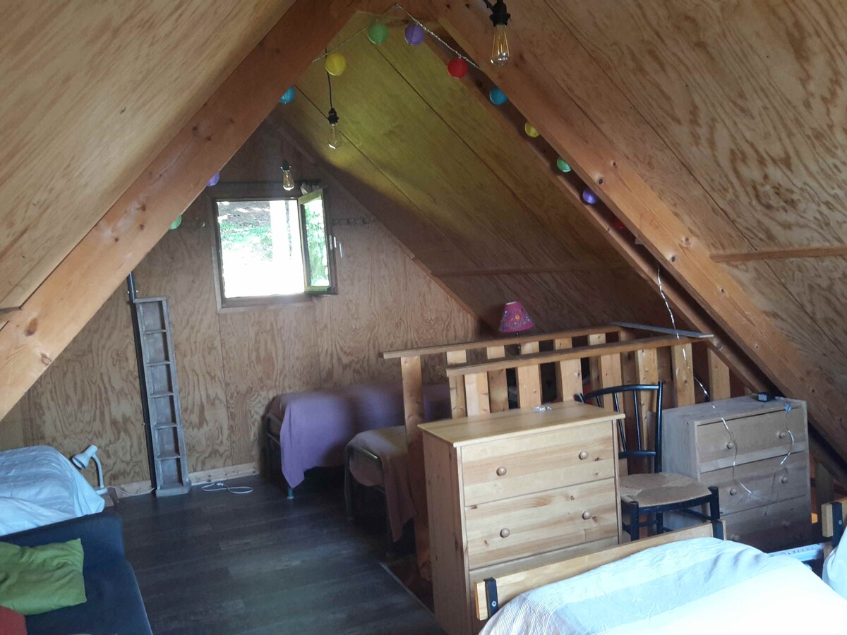 المسكن(جناح الضيوف)