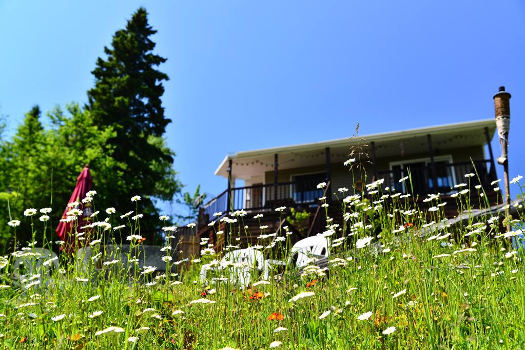 Le chalet vu du quai