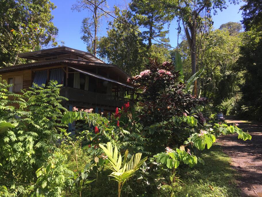 Casa Verano, surrounded by the tropical garden and rainforest