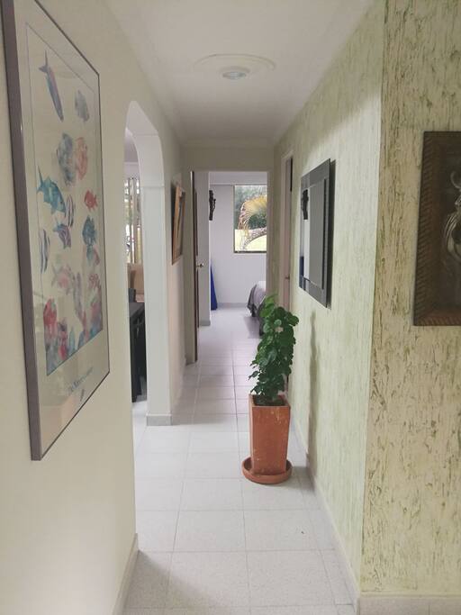 Espacios amplios y ambiente iluminado.