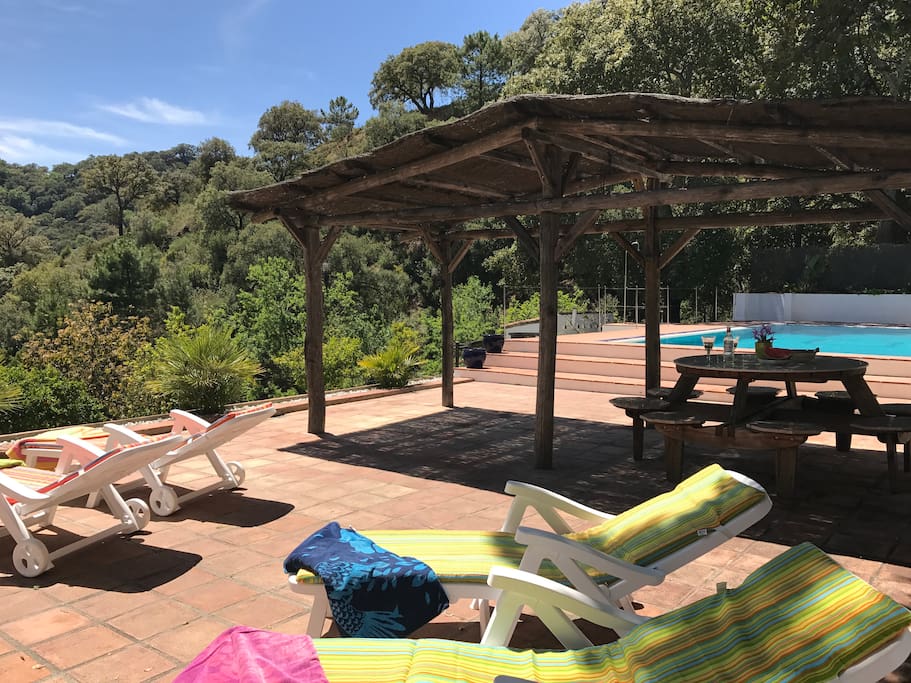views from pool area