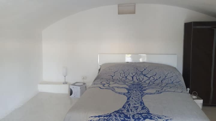 Застъпност