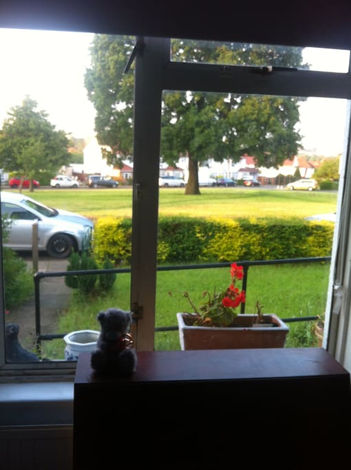 View from your room of the green